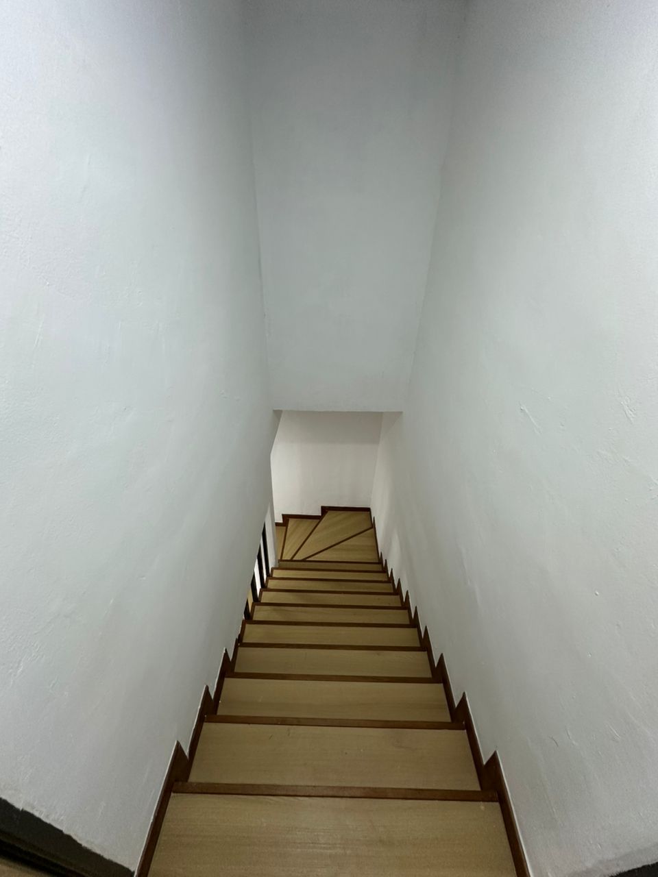 IMG-20251009-WA0048