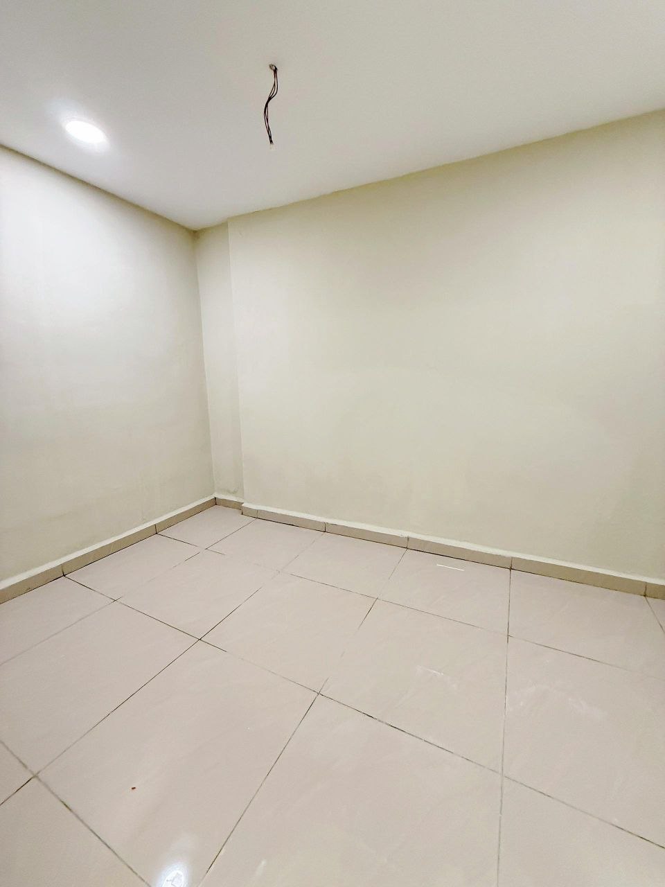 6291845188921528136_121